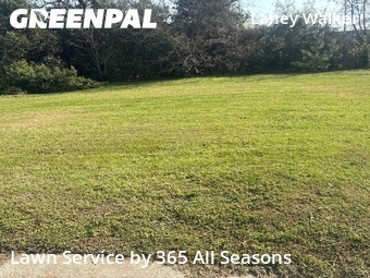 Lawn Cut nearby Augusta, GA, 