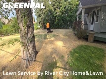 Lawn Maintenance nearby Spokane Valley, WA, 