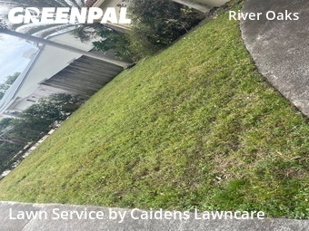 Lawn Care Servicein Fort Lauderdale,33315,Lawn Mowing by Caidens Lawncare , work completed in Jun , 2026