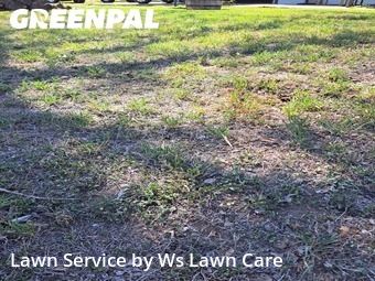 Grass Cut nearby New Braunfels, TX, 