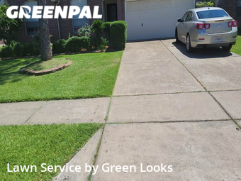 Grass Cut nearby Pearland, TX, 
