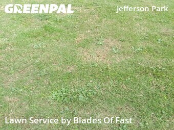 Lawn Cutting nearby Atlanta, GA, 