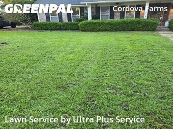 Yard Mowing nearby Pensacola, FL, 