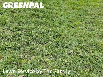 Yard Mowing nearby Winter Park, FL, 