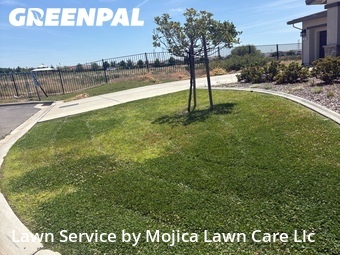 Lawn mowed in Roseville, 95747