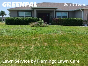 Landscaping Services In Cape Coral,33993,Landscaping Maintenance by Flamingo Lawn Care, work completed in Jul , 2026