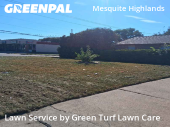 Lawn Mow nearby Mesquite, TX, 