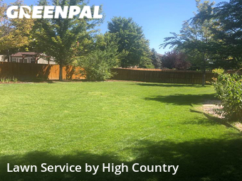 Grass Cut nearby Thornton, CO, 