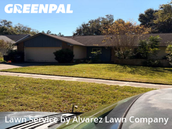 Grass Cutin Altamonte Springs,32701,Lawn Mow by Alvarez Lawn Company, work completed in Dec , 2025