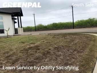 Lawn Cutting nearby Corpus Christi, TX, 