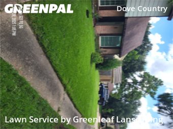 Yard Mowingin Stafford,77477,Lawn Maintenance by Greenleaf Lanscaping, work completed in Nov , 2025