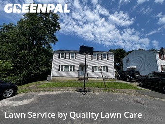 Yard Upkeep in Waterbury, 6708, Grass Services by Quality Lawn Care, work completed in Oct , 2025