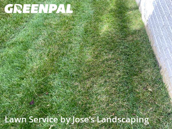 Lawn Cut nearby Centreville, VA, 
