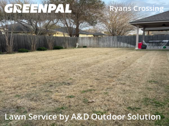 Lawn mowed in Round Rock, 78665