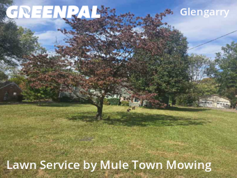 Lawn Care Service nearby Nashville, TN, 