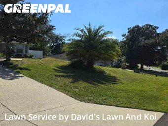 Yard Cutting in Lady Lake, 32159, Turf Services by David's Lawn And Koi, work completed in Dec , 2025