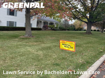 Lawn Management in Ashland, 44805, Yard Services by Bachelders Lawn Care, work completed in Nov , 2025