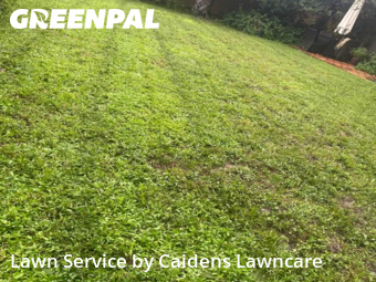 Grass Cutting nearby Deerfield Beach, FL, 