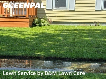 Yard Mowing nearby Sauk Village, IL, 
