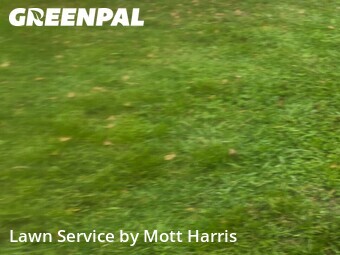 Lawn Care nearby Boca Raton, FL, 