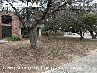 Lawn Mow nearby San Antonio, TX, 