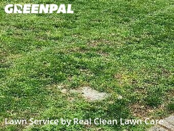 Lawn Cutting nearby Charlotte, NC, 