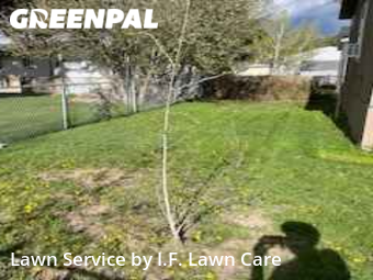 Lawn Mowing nearby Idaho Falls, ID, 