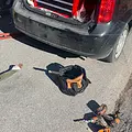 Wildwood Mobile Small Engine Repair Fl 2