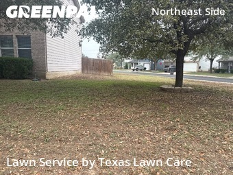 Lawn Mowin San Antonio,78239,Lawn Care Service by Texas Lawn Care, work completed in Dec , 2025