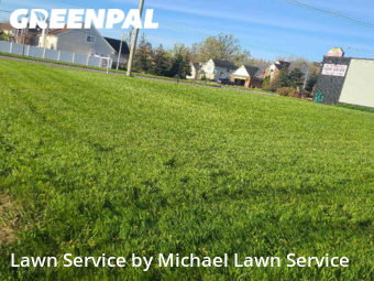 Lawn Care Service nearby Livonia, MI, 