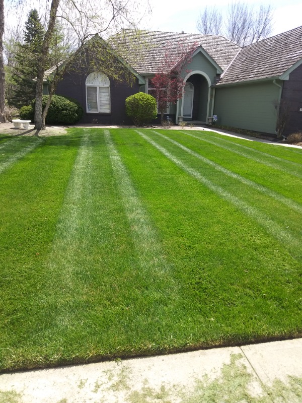 Loyalty Lawns Lawn Care Services in Omaha, NE