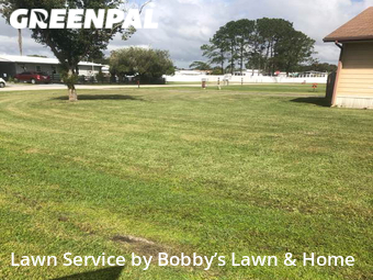 Grass Cut nearby Polk City, FL, 