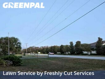 Yard Cutting nearby Brandon, FL, 