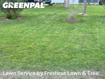 Yard Cutting nearby New Braunfels, TX, 