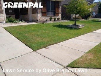 Lawn Maintenance nearby Haslet, TX, 