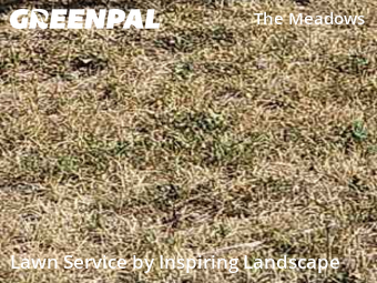 Lawn Work in Castle Rock, 80109, Property Maintenance by Inspiring Landscape, work completed in Oct , 2025
