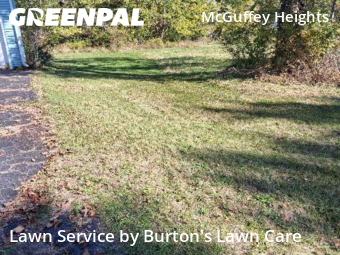 Yard Care in Youngstown, 44505, Yard Work by Burton's Lawn Care, work completed in Nov , 2025