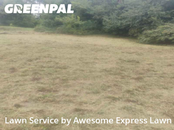 Yard Mowing nearby Mount Vernon, IL, 