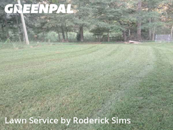 Weed Trimming in Winder, 30680, Yard Cutting by Roderick Sims, work completed in Nov , 2025