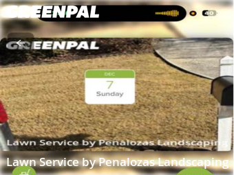 Lawn Cutting nearby Suwanee, GA, 