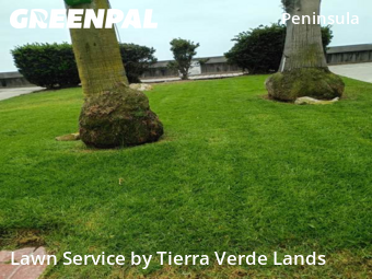 Work completed by affordable-landscaping-maintenance-services-in-Long Beach-CA
