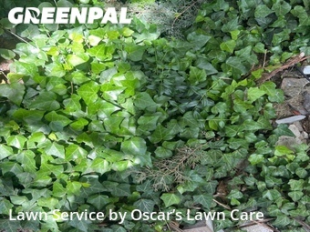 Yard Cutting nearby Selah, WA, 