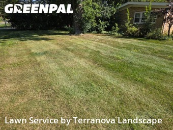 Lawn Work in Wheaton, 60187, Yard Management by Terranova Landscape, work completed in Dec , 2025