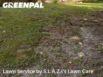 Lawn Maintenance nearby Jackson, TN, 