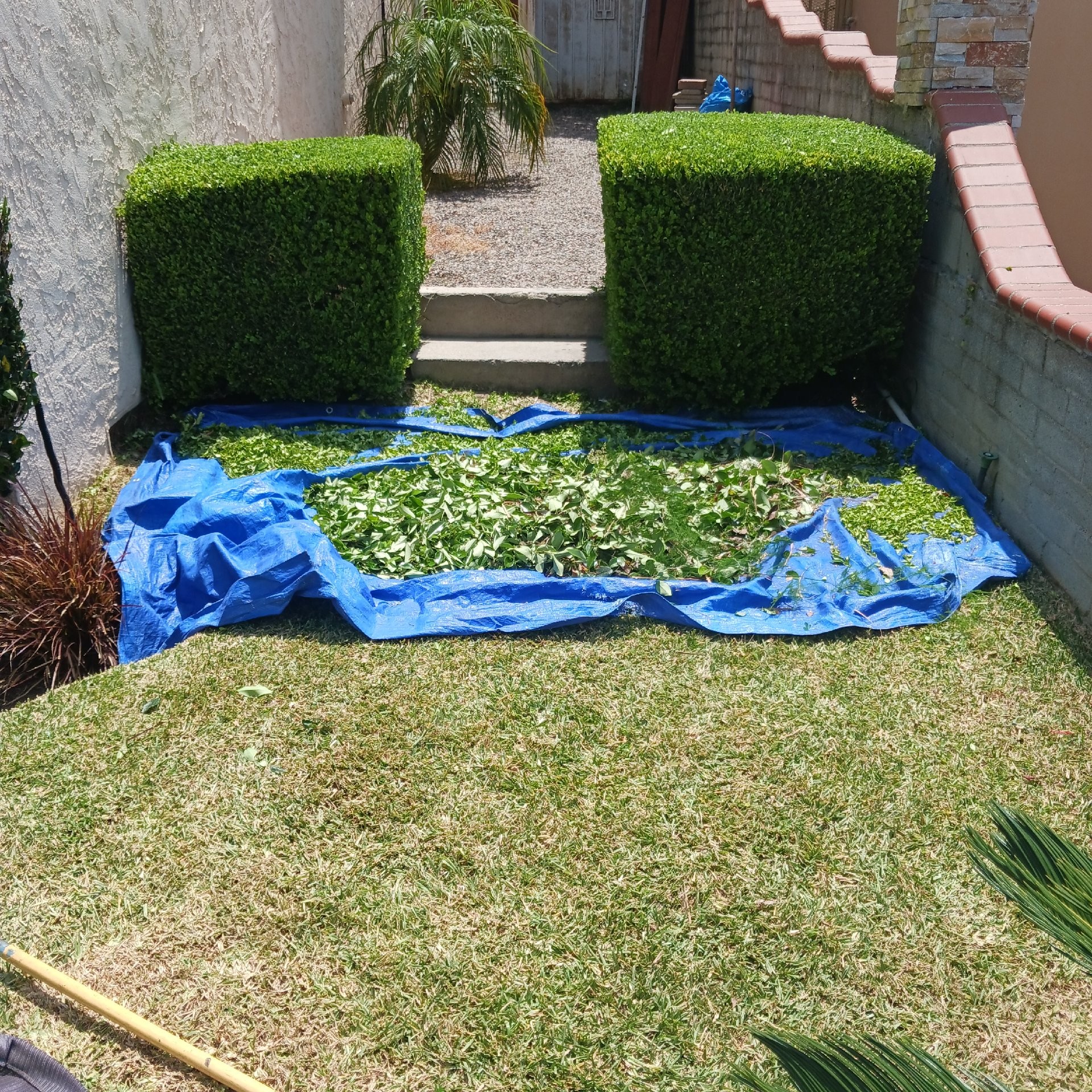 local-lawn-care-services-in in Simi Valley, CA