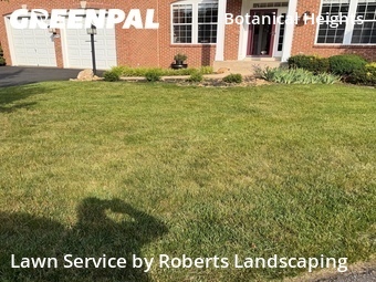 Lawn Mow nearby Springfield, VA, 