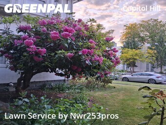 Grass Cutting nearby Seattle, WA, 