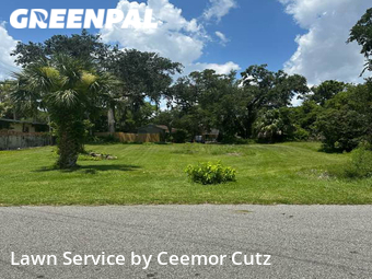 Lawn Care nearby Daytona Beach, FL, 