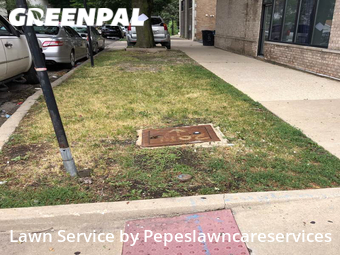 Yard Mowing nearby Chicago, IL, 