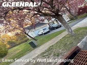 Grass Cut nearby Wayne, NJ, 